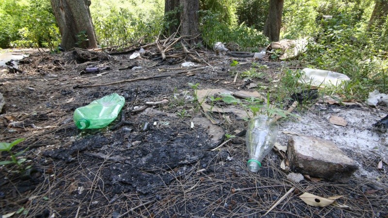 El monte sufre tala de árboles, quema de pastizales y se puede ver acumulación de basura. 