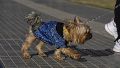 El clima en Rosario: viernes frío por la mañana y agradable por la tarde