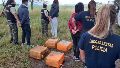 Condenan a “La Reina del Sur” por narcobombardeo de 300 kilos de cocaína en campos de Pergamino