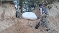 Impresionante hallazgo paleontológico en la región: encontraron un cráneo de mastodonte en la localidad de Fighiera