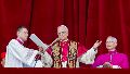 Cardinal Prevost elected as pope