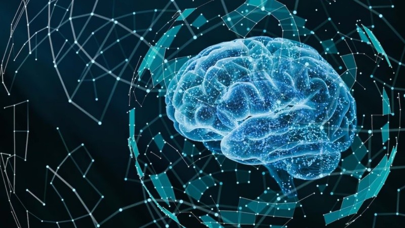 El hallazgo se produjo en ratones jóvenes tras utilizar vectores de terapia génica.