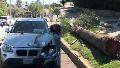 Conductor se descompensó mientras manejaba, chocó contra una palmera y la arrastró varios metros: "Se le apagó la tele"