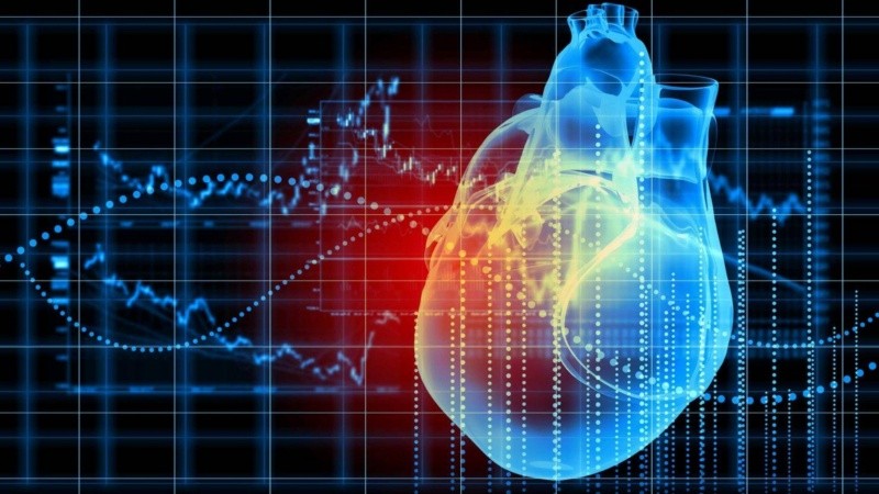 El descubrimiento también ofrece nuevas estrategias para desarrollar en medicina regenerativa y bioingeniería de tejidos.