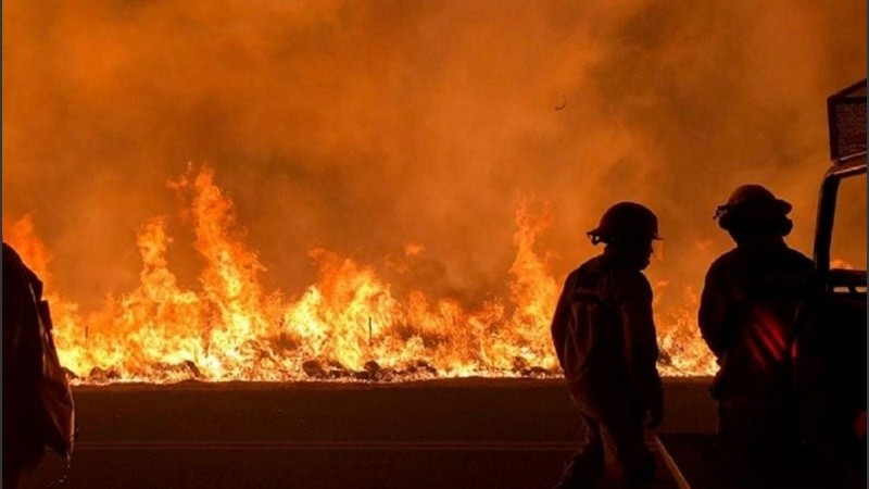 Instan a la población a actuar con responsabilidad, denunciar prácticas de riesgo y respetar las normativas vigentes.