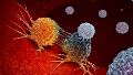 Además de mostrar mayor probabilidad de haber eliminado completamente el cáncer al momento de la cirugía, los pacientes estudiados presentaron menores tasas de recaída.