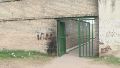 Nene de 4 años llevó un arma de aire comprimido a un jardín de infantes de zona oeste