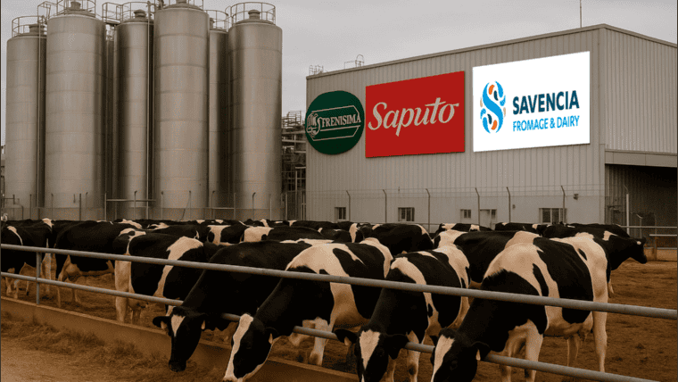 Radiografía del sector lácteo argentino