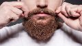 Dichos ingredientes contribuyen a una barba hidratada, fuerte y suave al tacto.