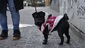 El clima en Rosario: mucho abrigo para todo el día