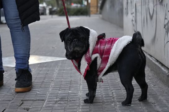 El clima en Rosario: mucho abrigo para todo el día