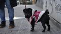 El clima en Rosario: sigue muy frío, pero la semana que viene llegaría el alivio