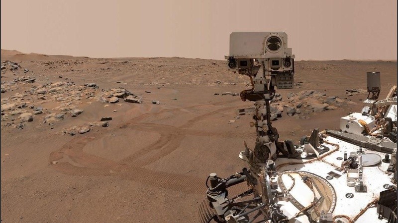 DiGregorio teme que los astronautas en Marte puedan morir a causa de patógenos alienígenas.