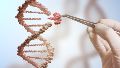 “Hace cinco años la gente habría pensado que entrar en el cerebro de un organismo vivo y corregir el ADN era ciencia ficción. Hoy sabemos que es posible", indicaron los investigadores.