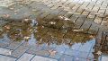 Las lluvias del fin de semana dejaron rastro en las calles.